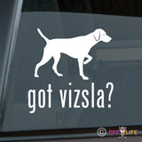 Got Vizsla  Sticker