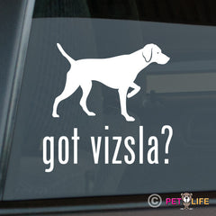 Vizsla