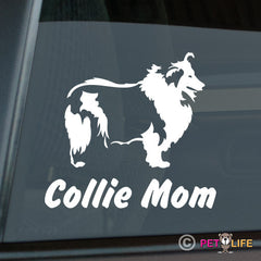 Collie