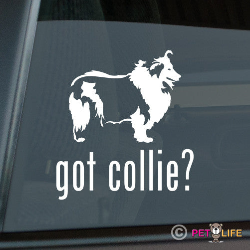 Got Collie Sticker