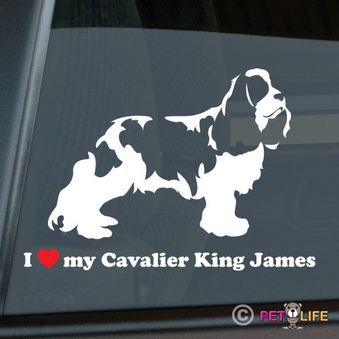 I Love My Cavalier King James Sticker