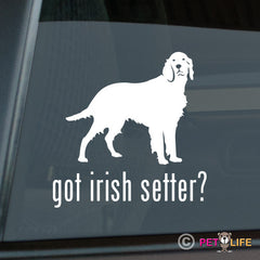 Irish Setter