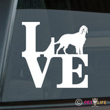 Love Irish Setterpark  Sticker