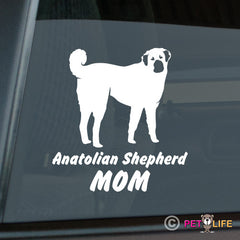 Anatolian Shepherd