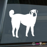 Anatolian Shepherd Sticker