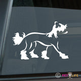 Chinese Crested Sticker