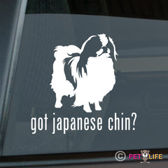 Japanese Chin