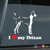 I Love My Ibizan Sticker