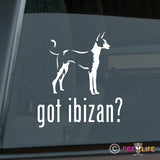 Got Ibizan Sticker