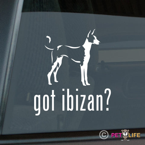 Got Ibizan Sticker