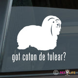 Got Coton de Tulear Sticker