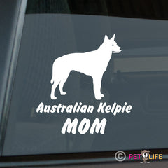 Australian Kelpie