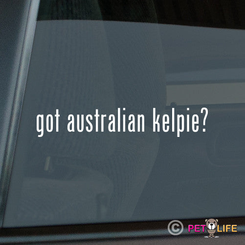 Got Australian Kelpie Sticker