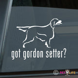 Got Gordon Setter Sticker