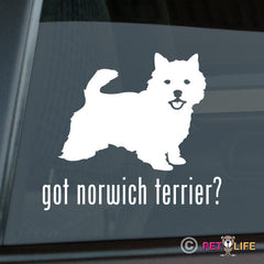 Norwich Terrier