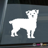 Cairn Terrier Sticker