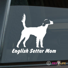 English Setter