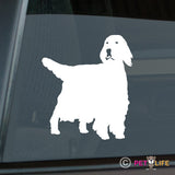 English Setter Sticker