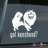 Got Keeshond Sticker