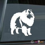 Keeshond Sticker