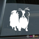 Papillon Sticker