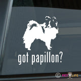 Got Papillon Sticker