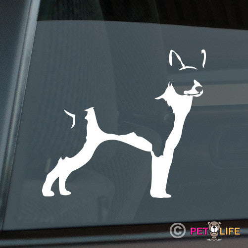 Rat Terrier Sticker