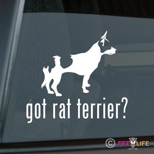 Got Rat Terrier Sticker