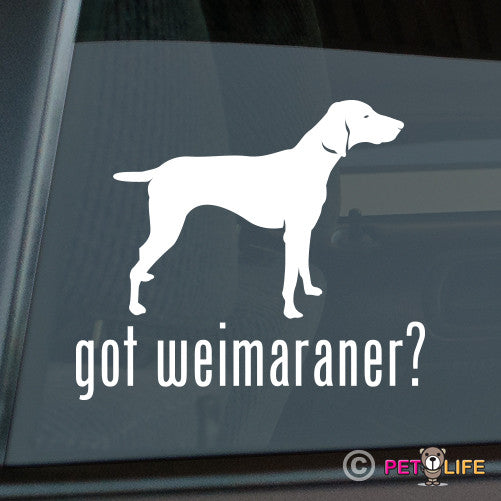 Got Weimaraner Sticker