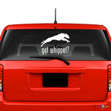 Got Whippet Sticker