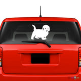 Bichon  Sticker