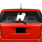 Affenpinscher Sticker