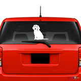 Cockapoo Sticker