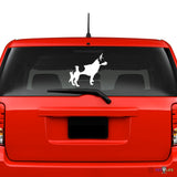 Rat Terrier Sticker